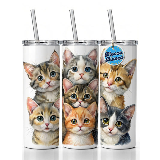 Sweet Manx Cats Skinny Tumbler 20oz with Straw Insulated Water Bottle Gift