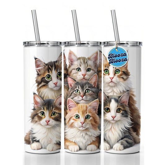 Sweet Norwegian Forest Cats Skinny Tumbler 20oz with Straw Insulated Water Bottle Gift