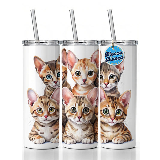 Sweet Ocicat Cats Skinny Tumbler 20oz with Straw Insulated Water Bottle Gift