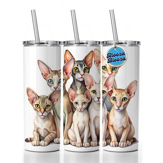 Sweet Oriental Shorthair Cats Skinny Tumbler 20oz with Straw Insulated Water Bottle Gift