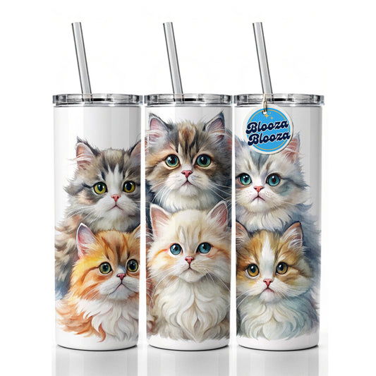 Sweet Persian Cats Skinny Tumbler 20oz with Straw Insulated Water Bottle Gift