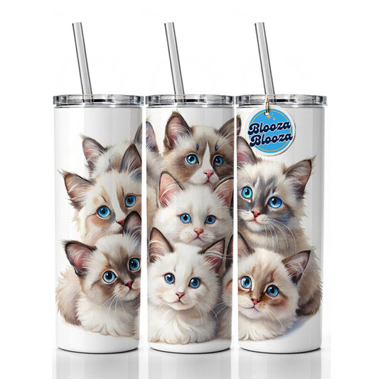 Sweet Ragdoll Cats Skinny Tumbler 20oz with Straw Insulated Water Bottle Gift