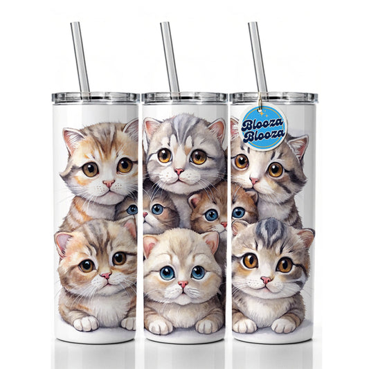 Sweet Scottish Fold Cats Skinny Tumbler 20oz with Straw Insulated Water Bottle Gift