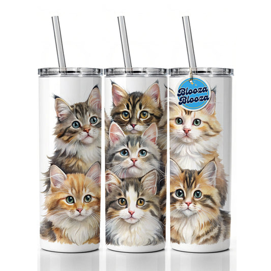 Sweet Siberian Cats Skinny Tumbler 20oz with Straw Insulated Water Bottle Gift