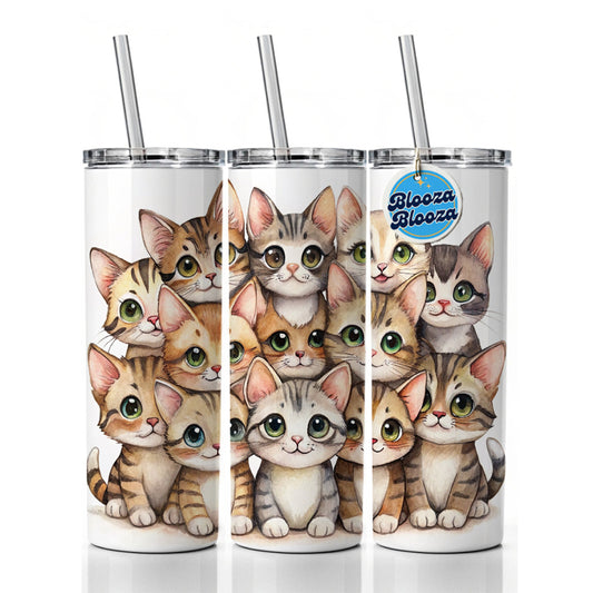 Sweet Sokoke Cats Skinny Tumbler 20oz with Straw Insulated Water Bottle Gift