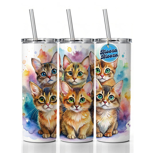 Sweet Somali Cats Skinny Tumbler 20oz with Straw Insulated Water Bottle Gift