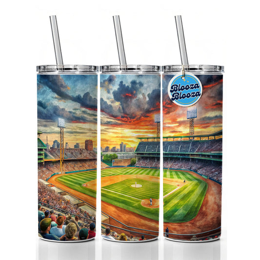 Baseball Game at the Stadium Skinny Tumbler 20oz with Straw Insulated Water Bottle Gift