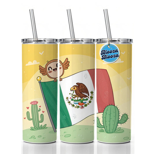 Kawaii Mexico Mexican Flag Skinny Tumbler 20oz with Straw Insulated Water Bottle Gift