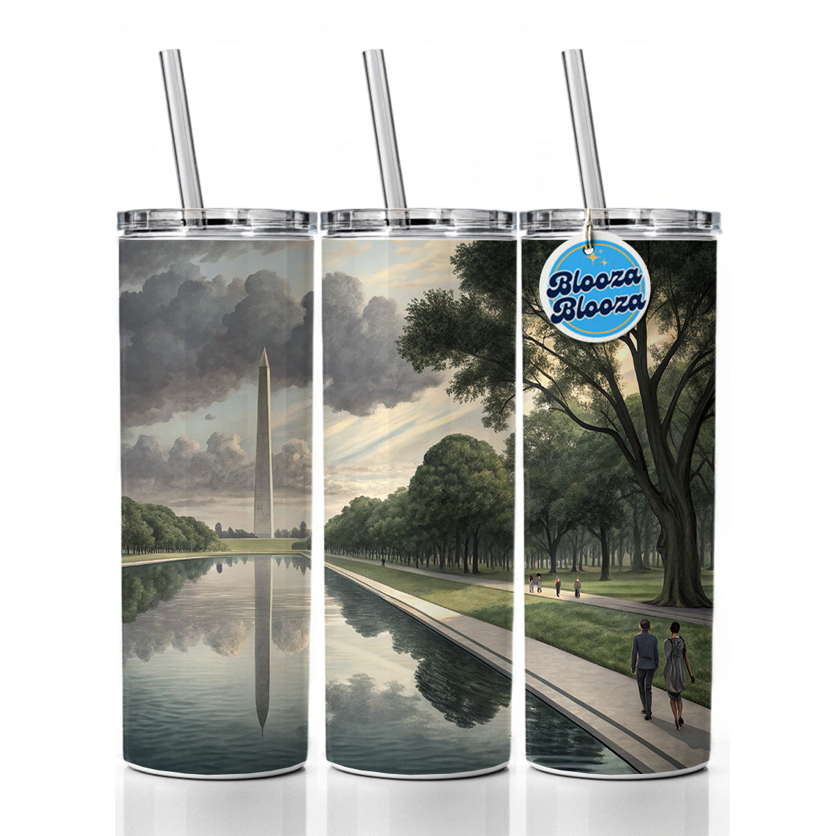 National Mall Reflecting Pool In Washington DC Skinny Tumbler 20oz with Straw Insulated Water Bottle Gift