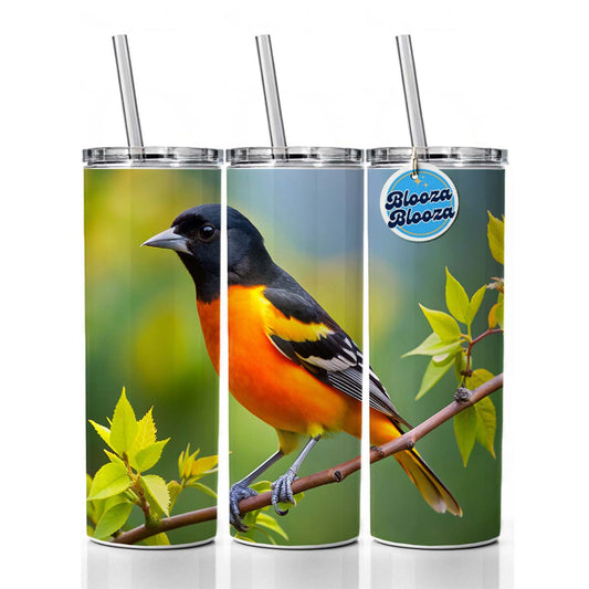 Baltimore Oriole Backyard Bird Skinny Tumbler 20oz with Straw Insulated Water Bottle Gift