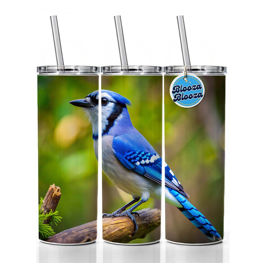 Blue Jay Backyard Bird Skinny Tumbler 20oz with Straw Insulated Water Bottle Gift