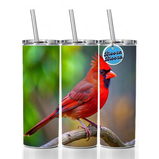 Cardinal Backyard Bird Skinny Tumbler 20oz with Straw Insulated Water Bottle Gift