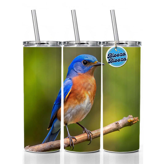 Eastern Bluebird Backyard Bird Skinny Tumbler 20oz with Straw Insulated Water Bottle Gift