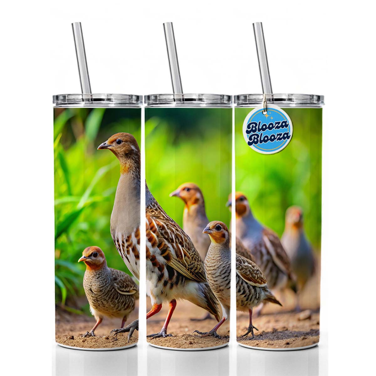 Family Of Partridge Birds Skinny Tumbler 20oz with Straw Insulated Water Bottle Gift
