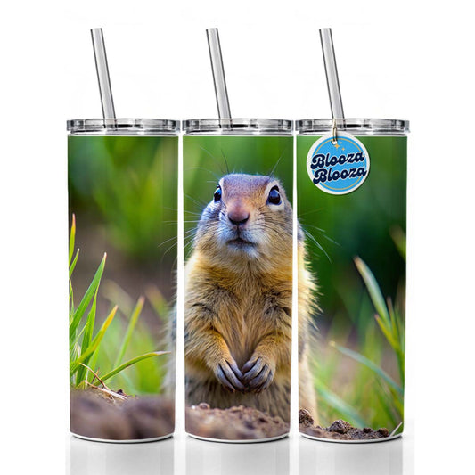 Gopher Skinny Tumbler 20oz with Straw Insulated Water Bottle Gift