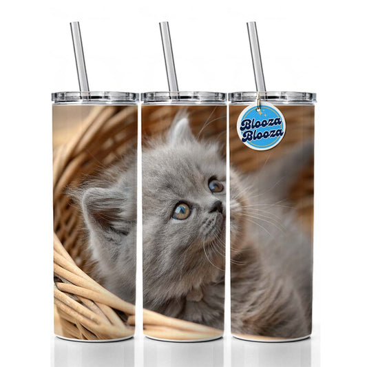 Gray British Longhair Kitten in a Basket Skinny Tumbler 20oz with Straw Insulated Water Bottle Gift