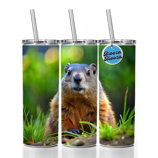 Groundhog Skinny Tumbler 20oz with Straw Insulated Water Bottle Gift