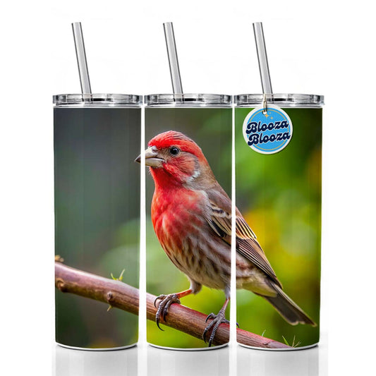 House Finch Backyard Bird Skinny Tumbler 20oz with Straw Insulated Water Bottle Gift
