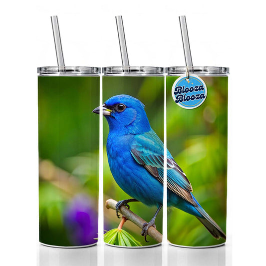 Indigo Bunting Backyard Bird Skinny Tumbler 20oz with Straw Insulated Water Bottle Gift