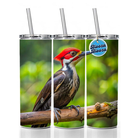 Pileated Woodpecker Backyard Bird Skinny Tumbler 20oz with Straw Insulated Water Bottle Gift