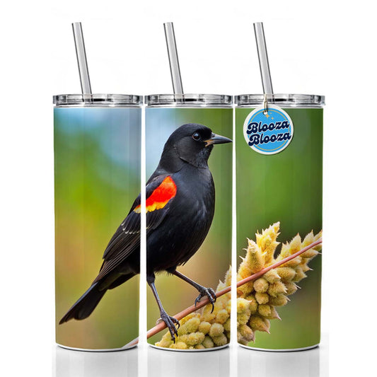 Red Winged Blackbird Backyard Bird Skinny Tumbler 20oz with Straw Insulated Water Bottle Gift