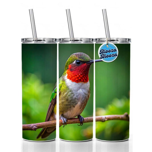 Ruby Throated Hummingbird Backyard Bird Skinny Tumbler 20oz with Straw Insulated Water Bottle Gift