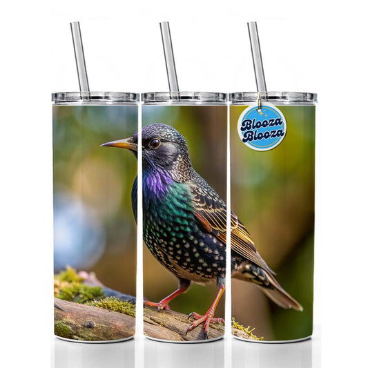Starling Backyard Bird Skinny Tumbler 20oz with Straw Insulated Water Bottle Gift