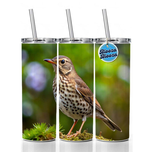 Thrush Bird Backyard Bird Skinny Tumbler 20oz with Straw Insulated Water Bottle Gift