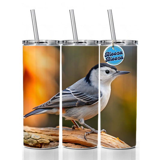 White Breasted Nuthatch Backyard Bird Skinny Tumbler 20oz with Straw Insulated Water Bottle Gift