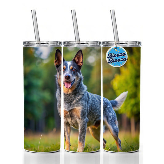 Australian Cattle Dog Photo Skinny Tumbler 20oz with Straw Insulated Water Bottle Gift