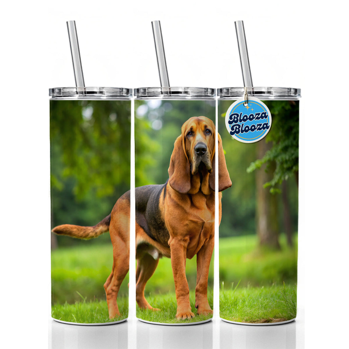 Bloodhound Dog Photo Skinny Tumbler 20oz with Straw Insulated Water Bottle Gift