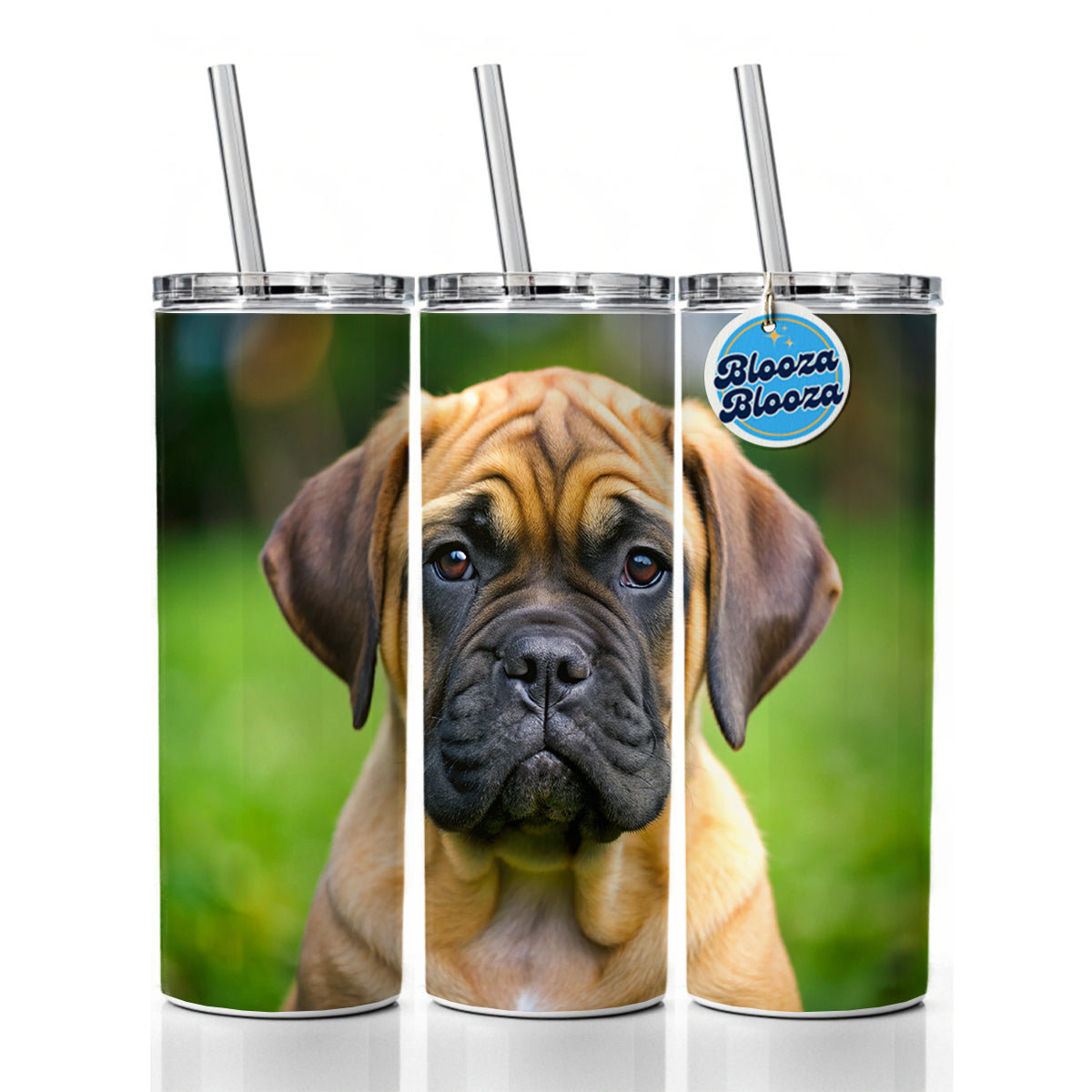 Bullmastiff Dog Puppy Photo Skinny Tumbler 20oz with Straw Insulated Water Bottle Gift