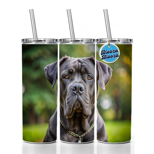 Cane Corso Dog Photo Skinny Tumbler 20oz with Straw Insulated Water Bottle Gift