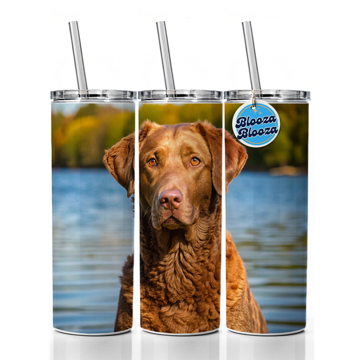 Chesapeake Bay Retriever Dog Photo Skinny Tumbler 20oz with Straw Insulated Water Bottle Gift