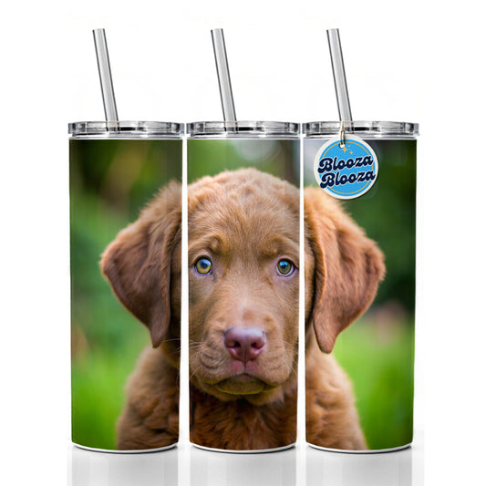 Chesapeake Bay Retriever Dog Puppy Photo Skinny Tumbler 20oz with Straw Insulated Water Bottle Gift