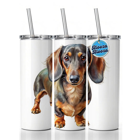 Dachshund Dog Illustration Skinny Tumbler 20oz with Straw Insulated Water Bottle Gift