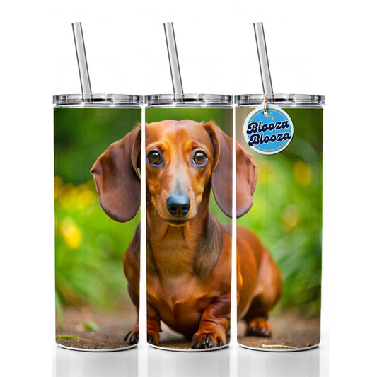 Dachshund Dog Photo Skinny Tumbler 20oz with Straw Insulated Water Bottle Gift