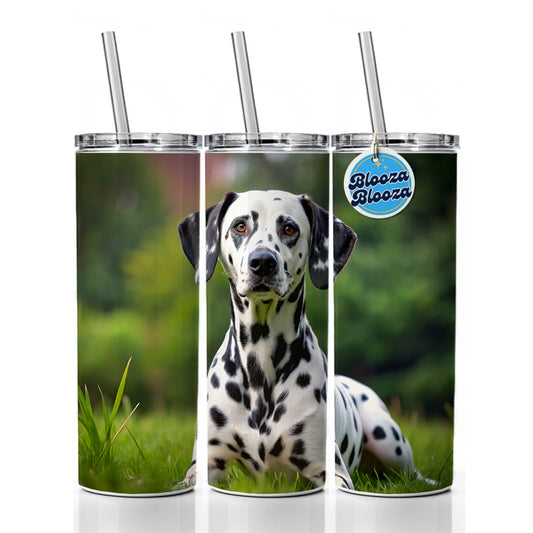 Dalmatian Dog Photo Skinny Tumbler 20oz with Straw Insulated Water Bottle Gift