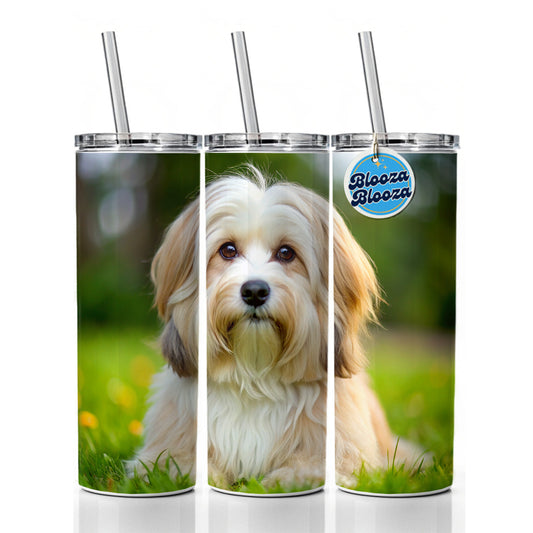 Havanese Dog Photo Skinny Tumbler 20oz with Straw Insulated Water Bottle Gift