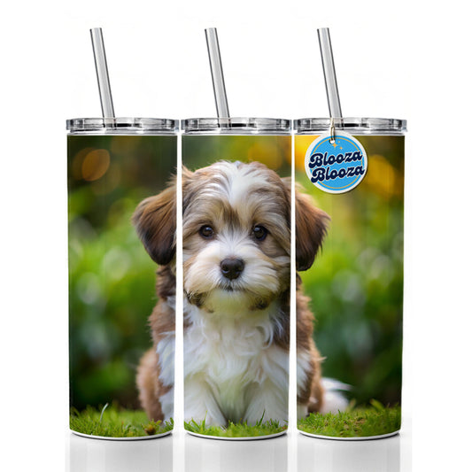 Havanese Dog Puppy Photo Skinny Tumbler 20oz with Straw Insulated Water Bottle Gift
