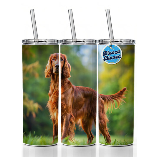 Irish Setter Dog Photo Skinny Tumbler 20oz with Straw Insulated Water Bottle Gift