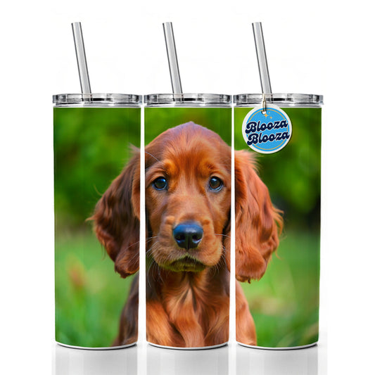 Irish Setter Dog Puppy Photo Skinny Tumbler 20oz with Straw Insulated Water Bottle Gift