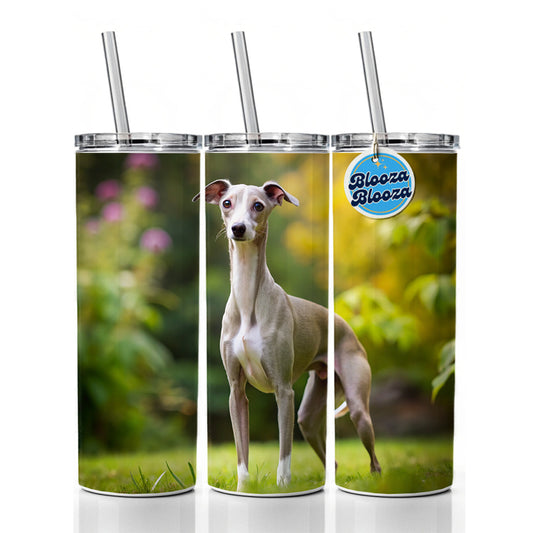 Italian Greyhound Dog Photo Skinny Tumbler 20oz with Straw Insulated Water Bottle Gift