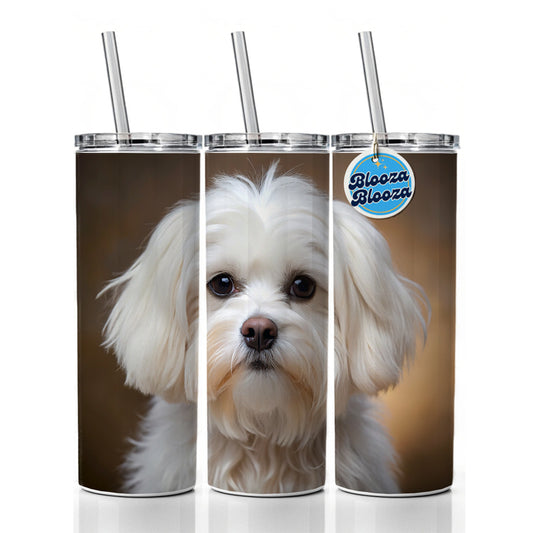 Maltese Dog Photo Skinny Tumbler 20oz with Straw Insulated Water Bottle Gift
