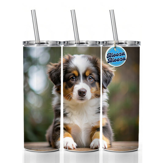 Miniature American Shepherd Dog Puppy Photo Skinny Tumbler 20oz with Straw Insulated Water Bottle Gift