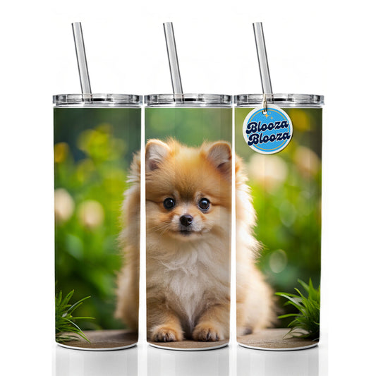 Pomeranian Dog Puppy Photo Skinny Tumbler 20oz with Straw Insulated Water Bottle Gift