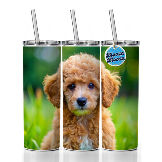 Poodle Dog Puppy Photo Skinny Tumbler 20oz with Straw Insulated Water Bottle Gift