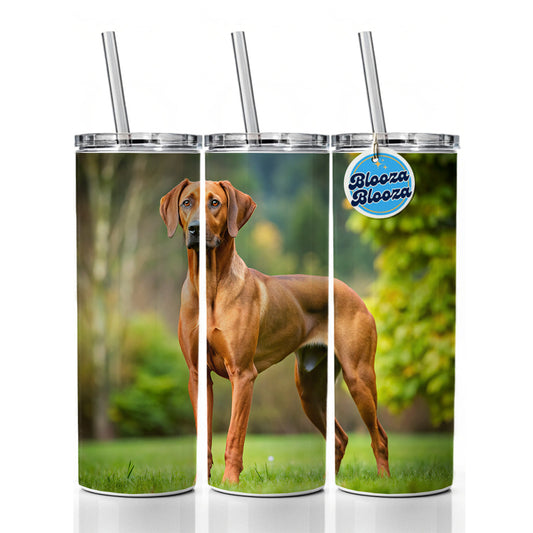 Rhodesian Ridgeback Dog Photo Skinny Tumbler 20oz with Straw Insulated Water Bottle Gift