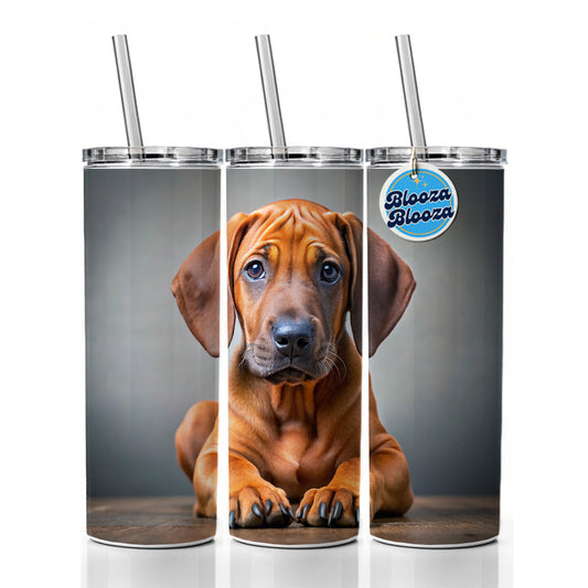 Rhodesian Ridgeback Dog Puppy Photo Skinny Tumbler 20oz with Straw Insulated Water Bottle Gift
