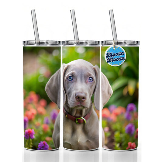 Weimaraner Dog Puppy Photo Skinny Tumbler 20oz with Straw Insulated Water Bottle Gift